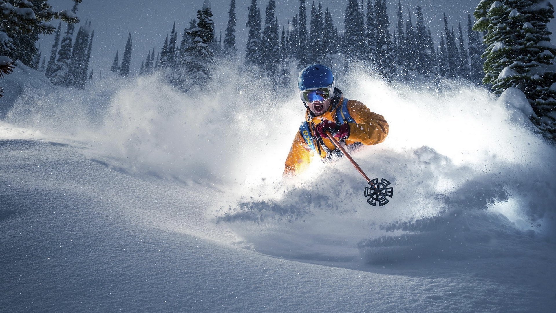 开云体育官方网站-独一无二的战场，辛纳以年终总决赛之锤炼，铸就联合杯王者之师